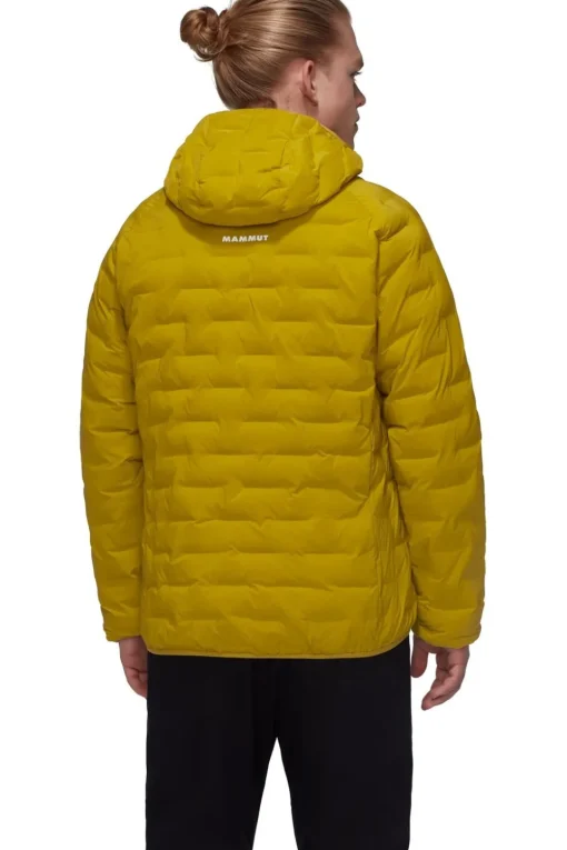 Mammut Jas Sender Ins Hooded