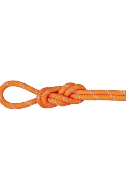 Mammut Touw 9.5 Alpine Dry Rope 50 Meter