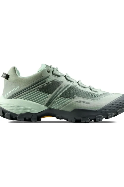 Mammut Wandelschoenen Ducan Ii Low Gtx Women