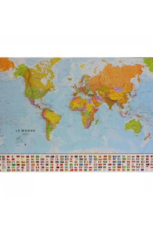 Maps International Monde pol. plano gepl. mi