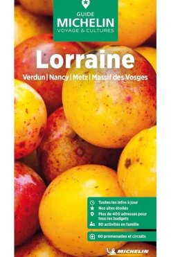 Michelin Boek Lorraine Verdun- Nancy- Metz- Massif Vosges Gvf Mich