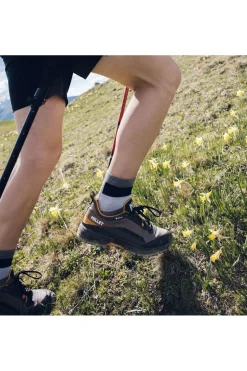 Millet Wandelschoenen Wanaka Gtx M