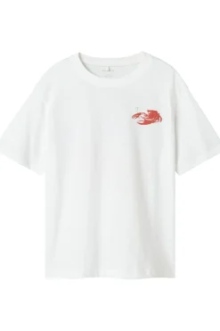 Name It T-Shirt Nkmfonnot Box