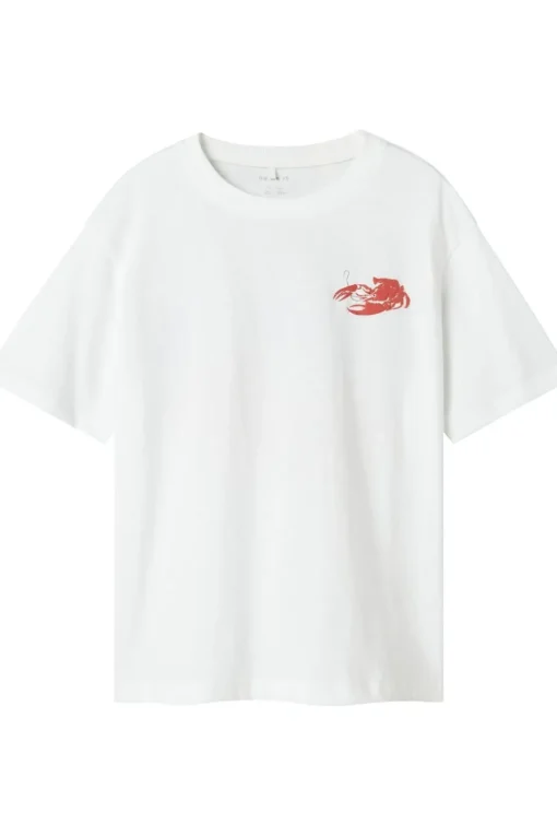 Name It T-Shirt Nkmfonnot Box
