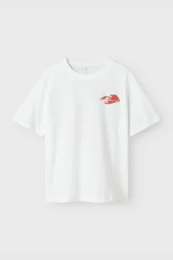 Name It T-Shirt Nkmfonnot Box