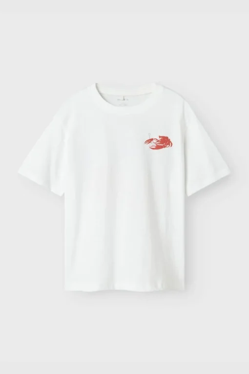 Name It T-Shirt Nkmfonnot Box