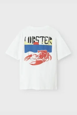 Name It T-Shirt Nkmfonnot Box