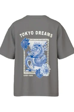 Name It T-Shirt Nkmsilass Ss Nreg Top
