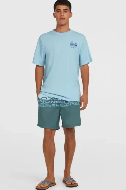 O'Neill Zwemshort Cali Stripe
