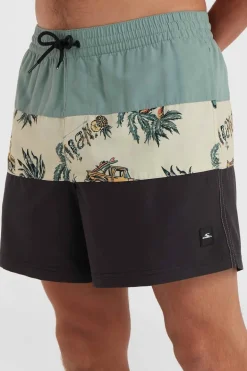 O'Neill Zwemshort Mix & Match Cali Block 15''