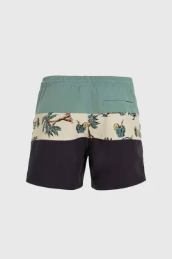 O'Neill Zwemshort Mix & Match Cali Block 15''