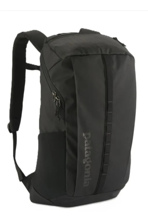 Patagonia Black Hole Pack 25L