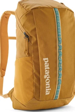 Patagonia Black Hole Pack 25L