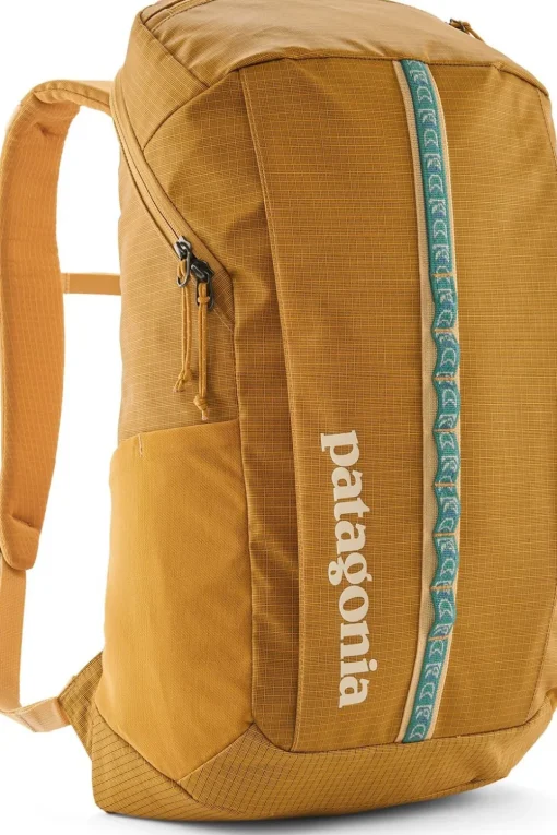 Patagonia Black Hole Pack 25L