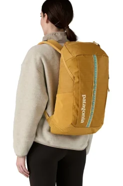 Patagonia Black Hole Pack 25L