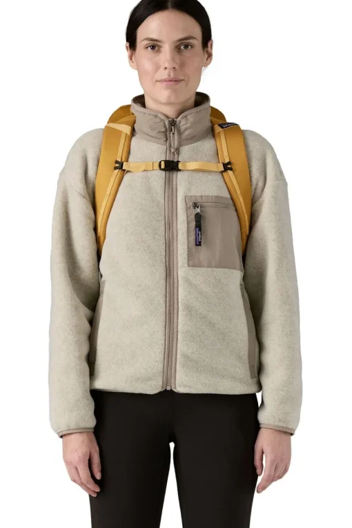 Patagonia Black Hole Pack 25L