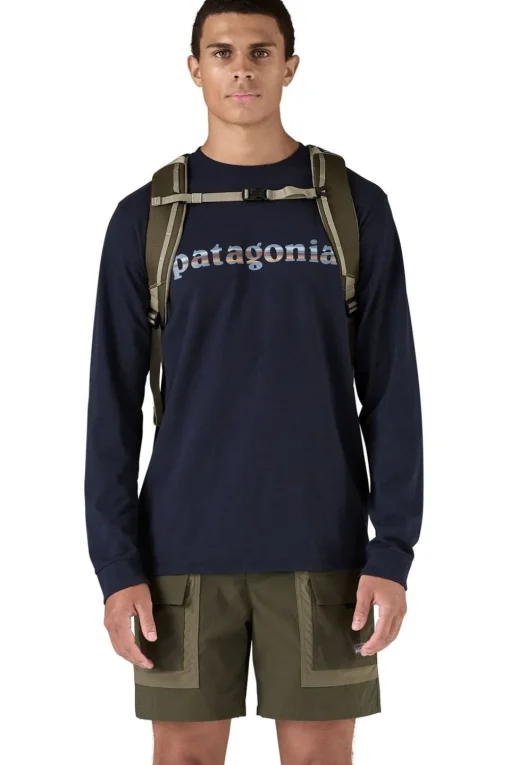 Patagonia Black Hole Pack 25L