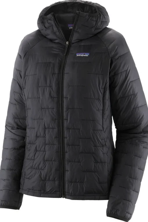 Patagonia Donsjas Micro Puff Hoodie