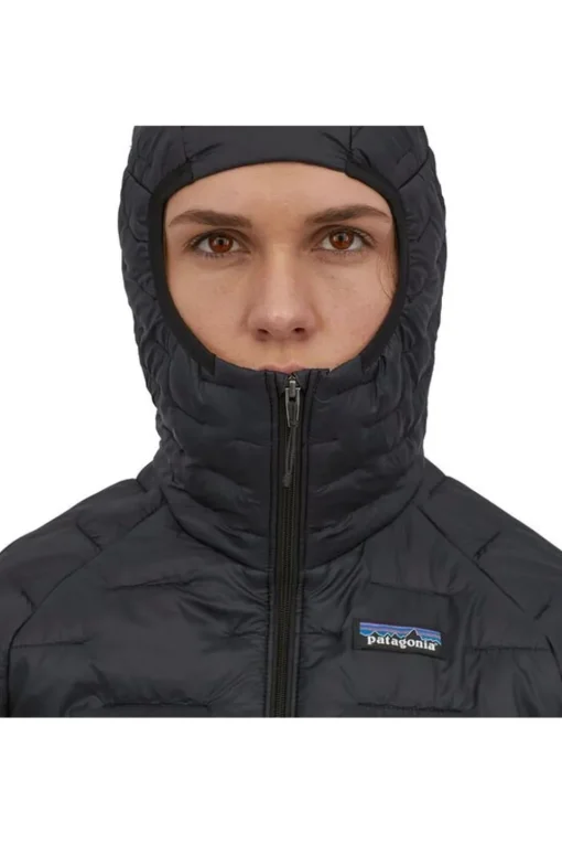 Patagonia Donsjas Micro Puff Hoodie