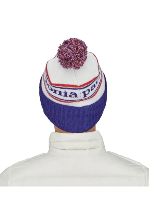 Patagonia Powder Town Beanie