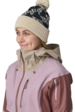 Patagonia Powder Town Beanie