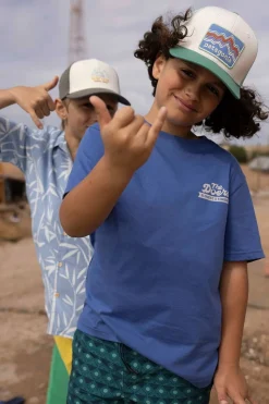 Patagonia Trucker Hat