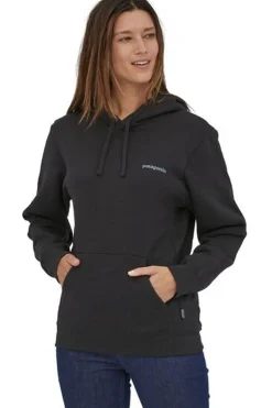 Patagonia Trui Fitz Roy Icon Uprisal Hoodie
