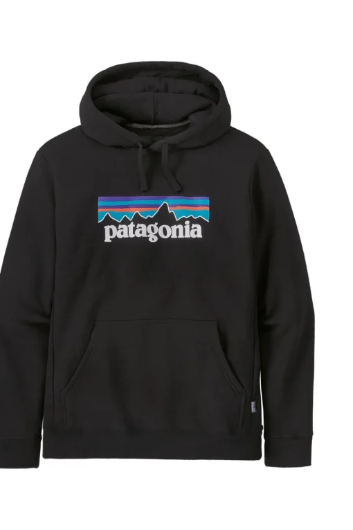 Patagonia Trui P-6 Logo Uprisal Hoodie