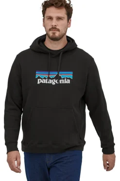 Patagonia Trui P-6 Logo Uprisal Hoodie