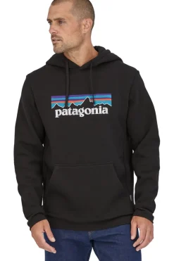 Patagonia Trui P-6 Logo Uprisal Hoodie