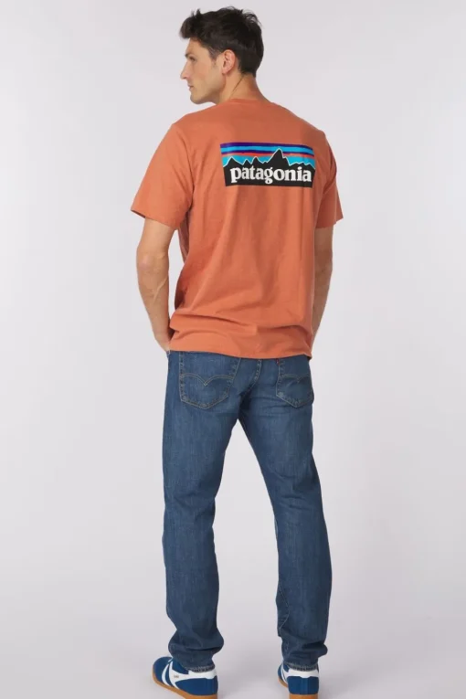Patagonia T-Shirt P6 Logo Responsibilitee