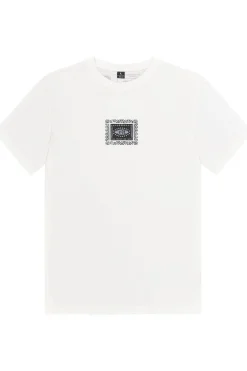 Picture Organic Clothing T-Shirt Dalap Tee