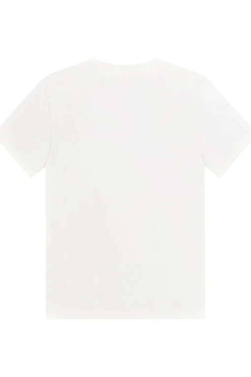 Picture Organic Clothing T-Shirt Dalap Tee