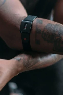 Polar Accessoire Polar Verity Sense Ohr M-XXL