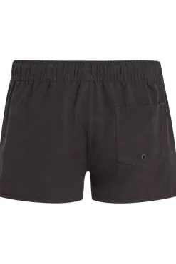 Protest Short Taylor