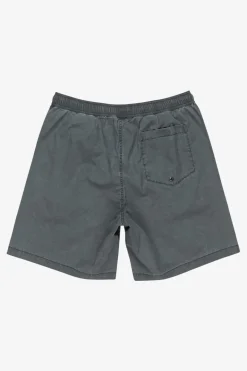Quiksilver Short Taxer Global Heat