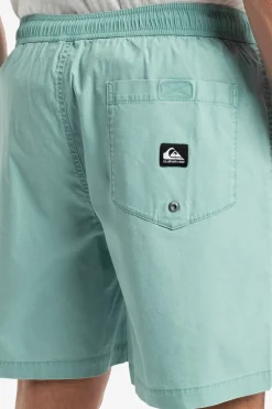 Quiksilver Short Taxer Ws