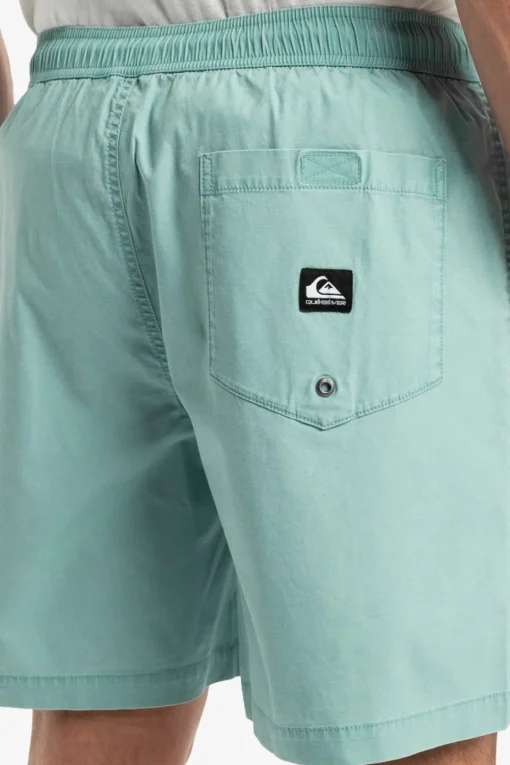 Quiksilver Short Taxer Ws