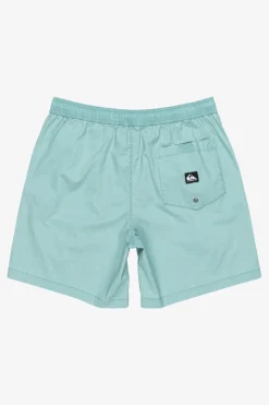 Quiksilver Short Taxer Ws