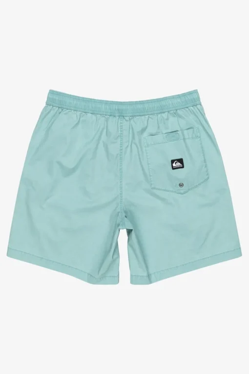 Quiksilver Short Taxer Ws