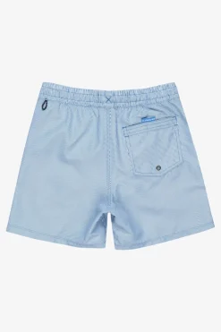 Quiksilver Zwemshort Everyday Deluxe Volley Yth 14