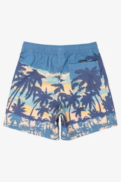 Quiksilver Zwemshort Everyday Straight Volley Yth14