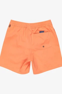 Quiksilver Zwemshort Everyday Solid Volley Yth 14