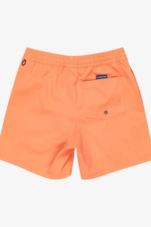 Quiksilver Zwemshort Everyday Solid Volley Yth 14