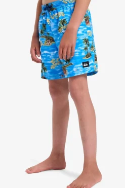 Quiksilver Zwemshort Everyday Straight Volley Yth14