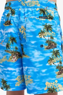 Quiksilver Zwemshort Everyday Straight Volley Yth14