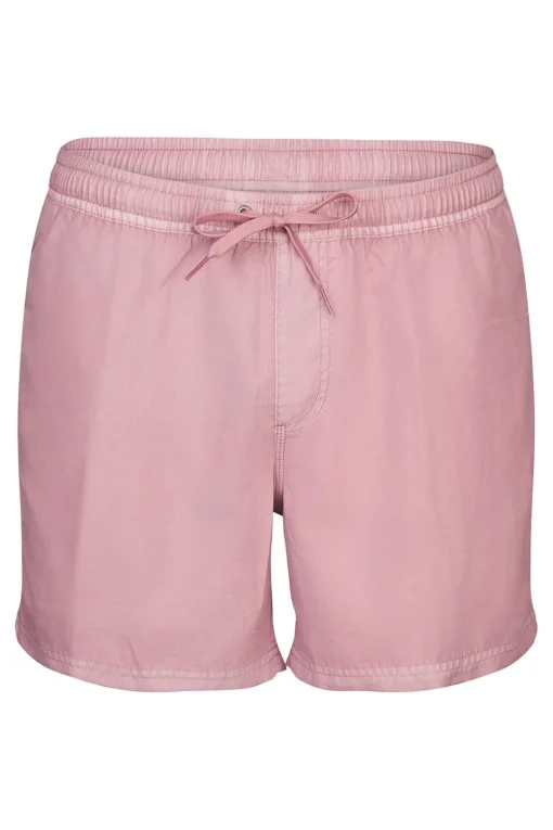 Quiksilver Zwemshort Everyday Surfwash Volley 15In