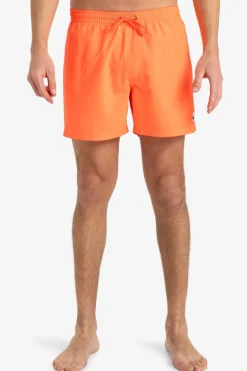 Quiksilver Zwemshort Everyday Solid Volley 15In