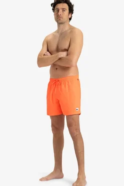 Quiksilver Zwemshort Everyday Solid Volley 15In