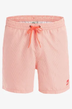 Quiksilver Zwemshort Everyday Deluxe Volley 15